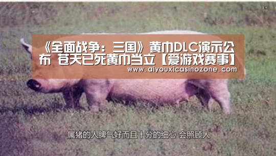 爱游戏下载